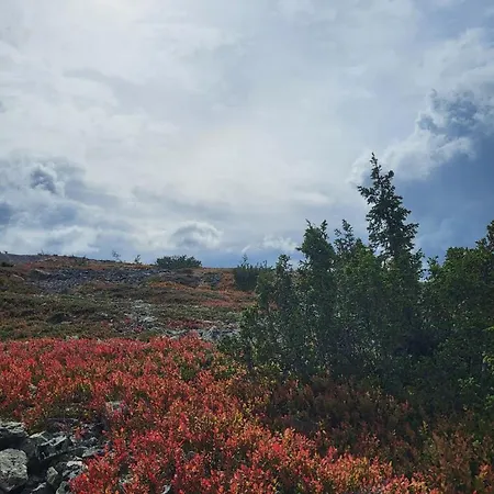 Aurora Hill Huoneisto *