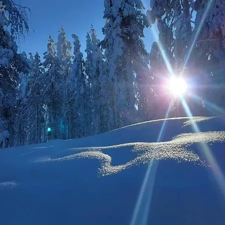 Aurora Hill Huoneisto *