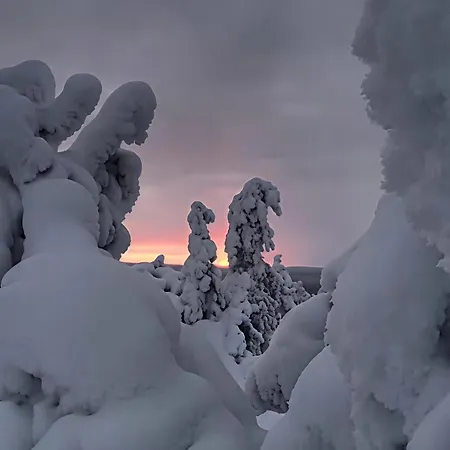 Aurora Hill * Rovaniemi
